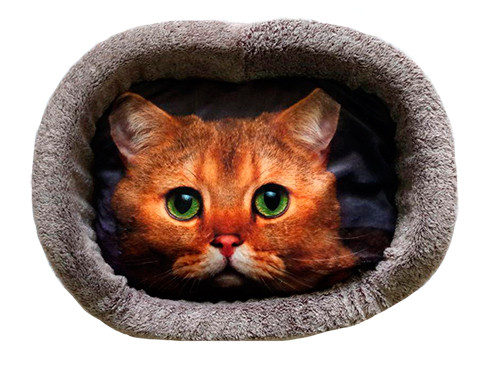 Лежанка для кошек и собак PerseiLine Дизайн №5 с кошкой и собакой 55х47х16 см цвет в ассортименте