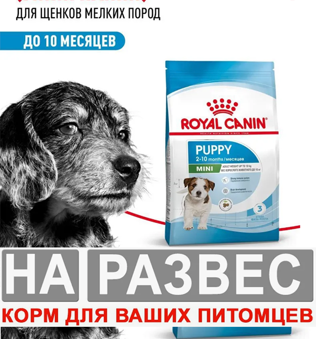 Корм Роял Канин РАЗВЕС МИНИ ЩЕНКИ для собак