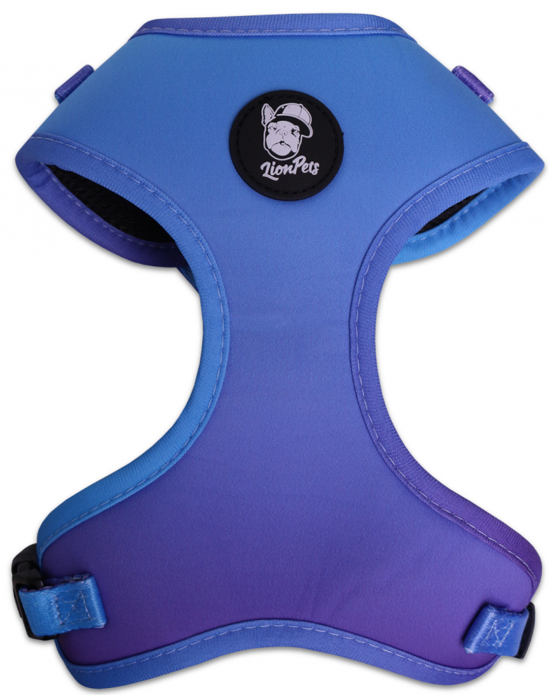 Шлейка LionPets LP-2401-6 (Размер XS обхват груди 34-48 см, шея 29-36 см)