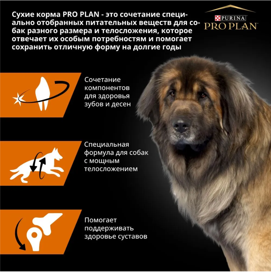 Корм Purina Pro Plan Large Adult Robust для взрослых собак крупных пород с курицей и рисом 14 кг