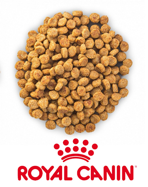 Корм для кошек РАЗВЕСНОЙ Royal Canin SAVOUR Exigent для требовательных к ВКУСУ корма