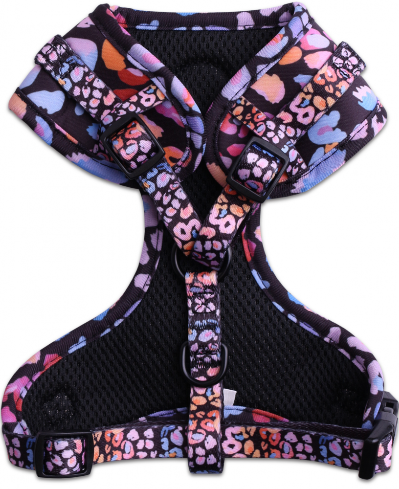 Шлейка LionPets LP-2401-1 (Размер S обхват груди 40-55 см, шея 35-44 см)