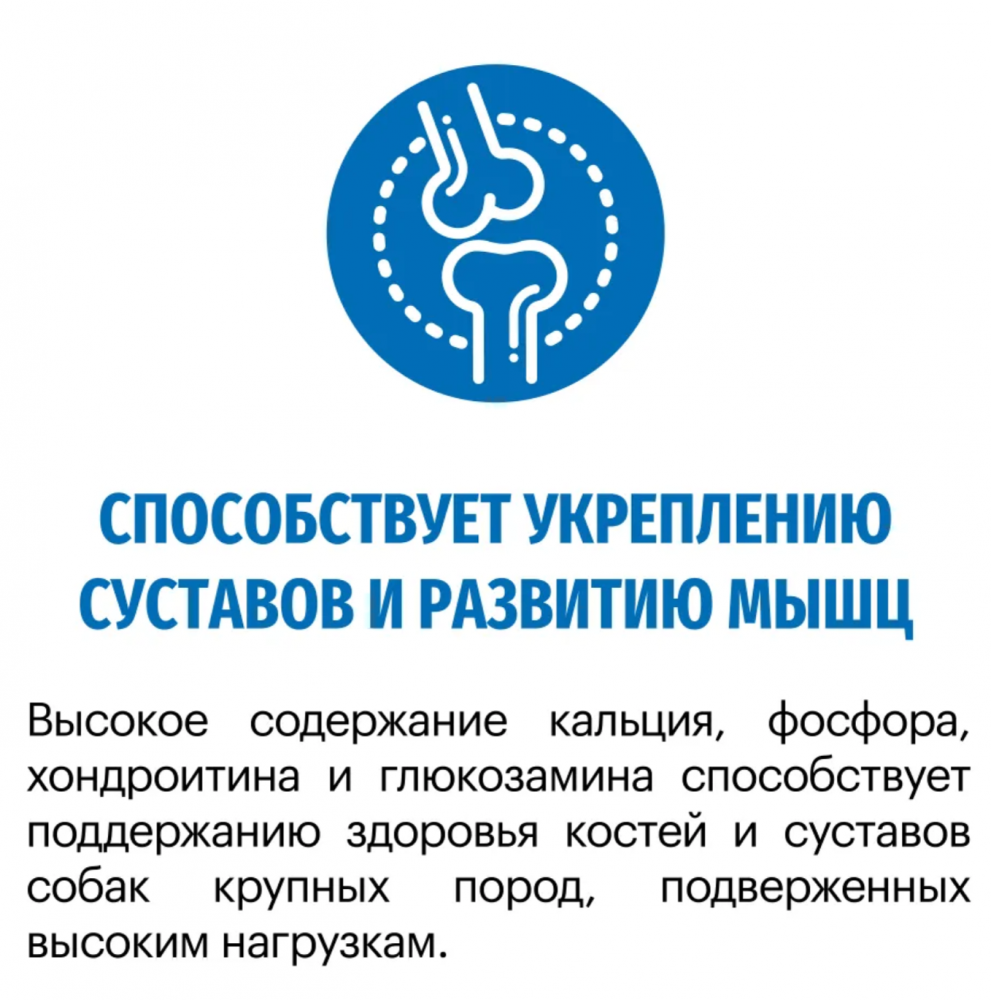 Корм Karmy JUNIOR для щенков крупных пород в возрасте до 1 года - индейка 2 кг