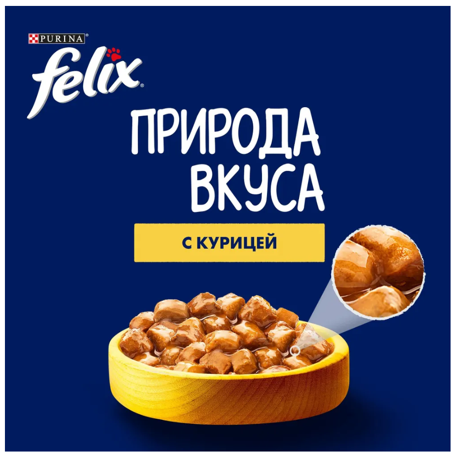 Влажный корм Felix природа вкуса, кусочки в соусе с курицей 85 г