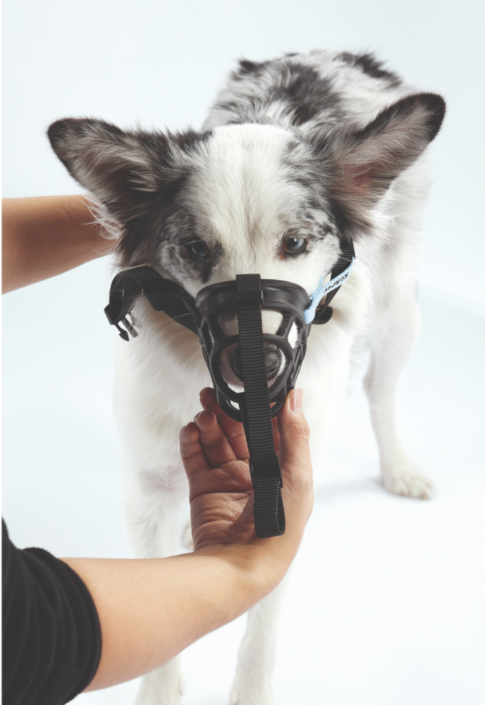 Намордник ТПЭ термопластичный эластомер XL, 20 x 17 x 9 см, дл 14 см, окр. 37.5 см