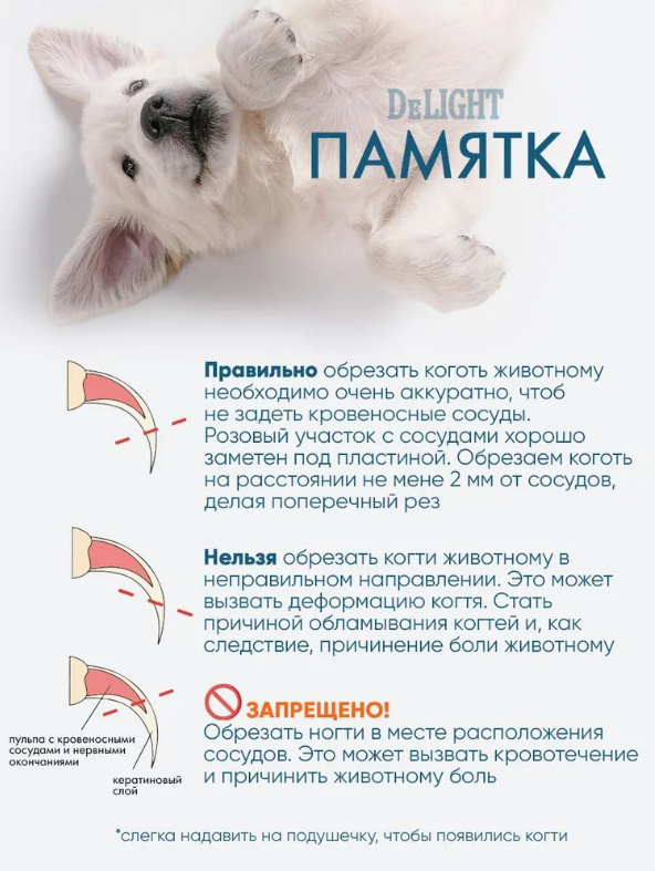 Когтерез-ножницы DeLIGHT загнутый для кошек и собак мелких и средних попрод