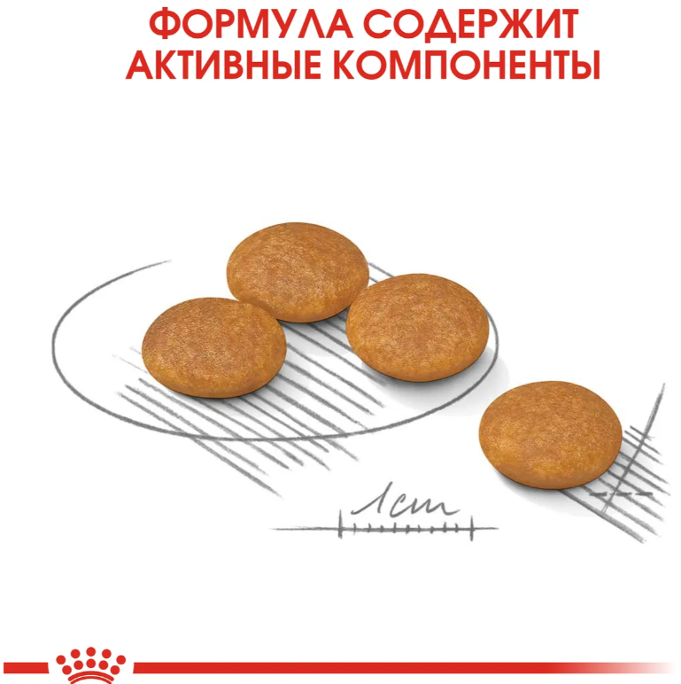 Корм Royal Canin Dermacomfort для малых пород с чувствительной кожей