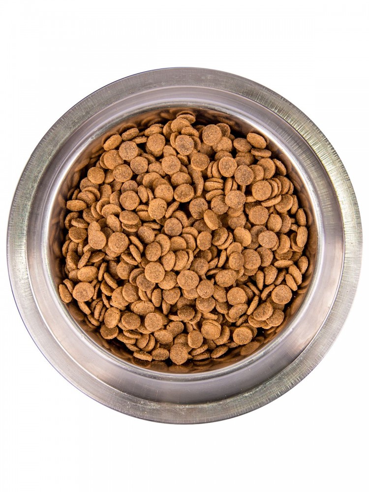 Корм сухой Monge Cat BWild GRAIN FREE беззерновой корм из лосося и гороха для взрослых кошек 1,5 кг