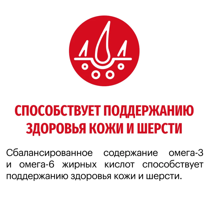 Корм Karmy MEDIUM ADULT -Телятина. Корм для взрослых собак средних пород